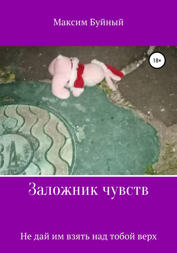 Обложка книги «Заложник чувств»
