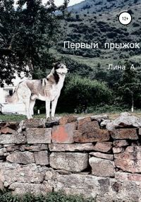 Обложка книги «Первый прыжок»