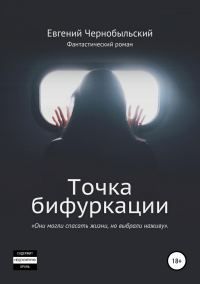Обложка книги «Точка бифуркации»