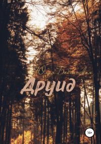 Обложка книги «Друид»