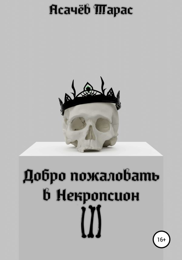 Обложка книги «Добро пожаловать в Некропсион III»