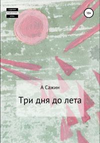 Обложка книги «Три дня до лета»