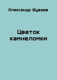Обложка книги «Цветок камнеломки»