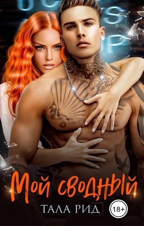 Обложка книги «Мой сводный»