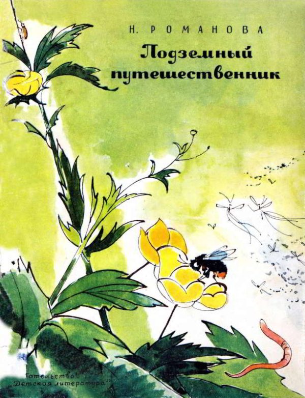 Обложка книги «Подземный путешественник»