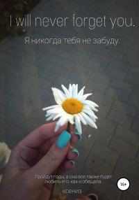 Обложка книги «Я никогда тебя не забуду»