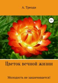 Обложка книги «Цветок вечной жизни»