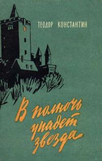 Обложка книги «В полночь упадет звезда»