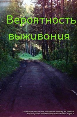 Обложка книги «Вероятность выживания»