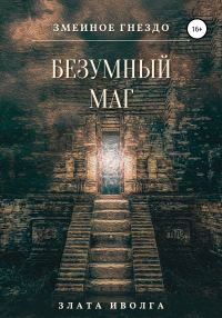 Обложка книги «Безумный маг»