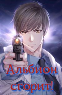Обложка книги «Альбион сгорит!»