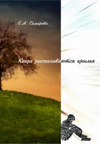 Обложка книги «Когда распахиваются крылья»