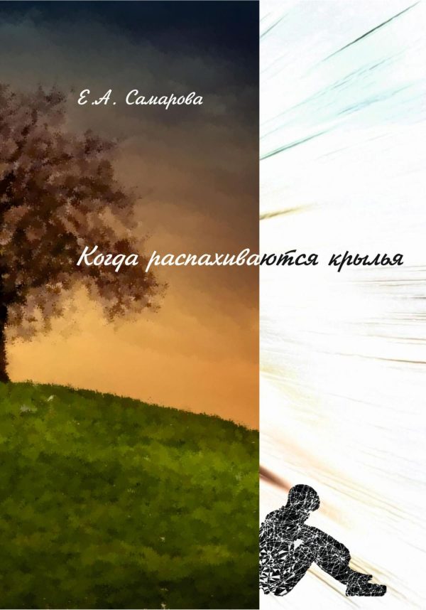 Обложка книги «Когда распахиваются крылья»