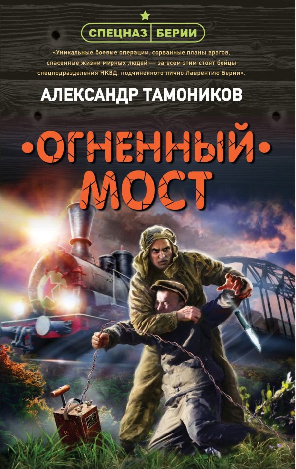 Обложка книги «Огненный мост»