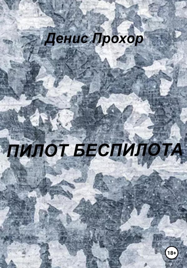 Обложка книги «Пилот беспилота»