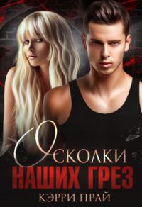 Обложка книги «Осколки наших грез»