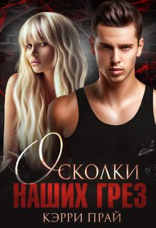 Обложка книги «Осколки наших грез»