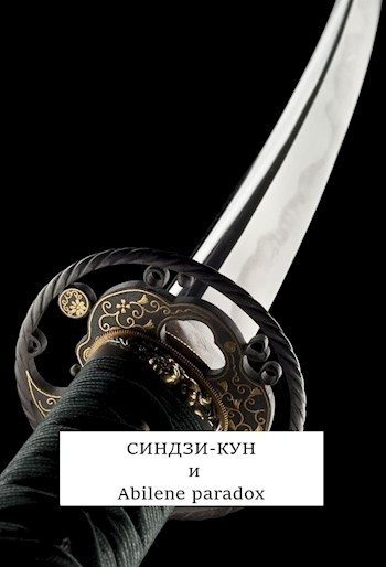 Обложка книги «Синдзи-кун и парадокс Абилина»