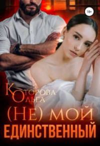 Обложка книги «(не) мой единственный»