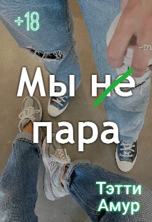 Обложка книги «Мы не пара»