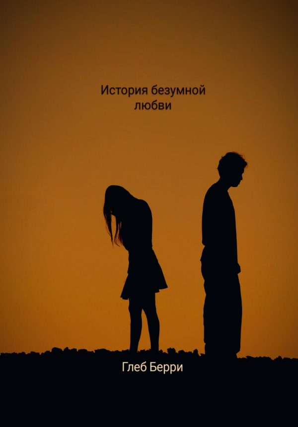 Обложка книги «История безумной любви»