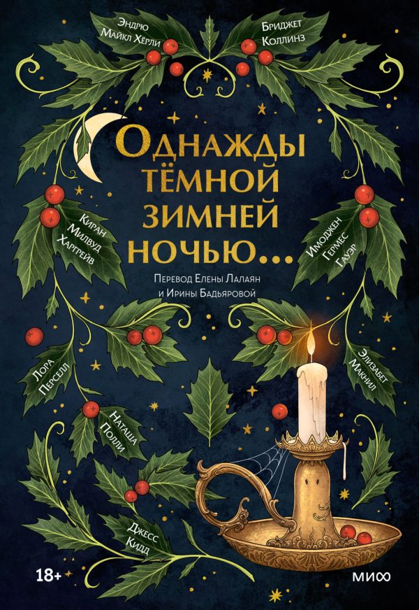 Обложка книги «Однажды темной зимней ночью…»