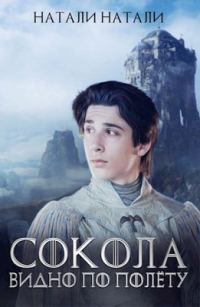 Обложка книги «Сокола видно по полёту»