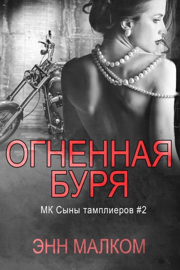 Обложка книги «Огненная буря»