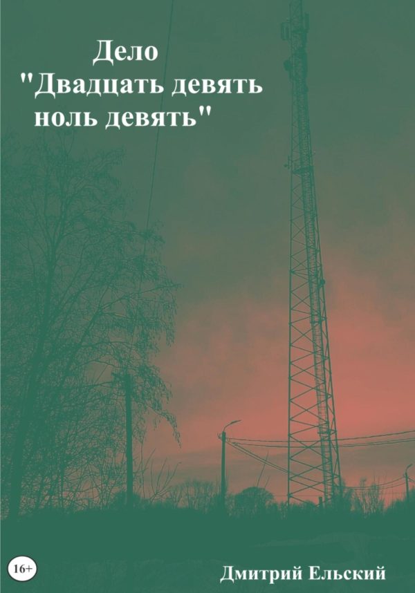 Обложка книги «Дело «Двадцать девять ноль девять»»
