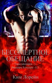 Обложка книги «Бессмертное обещание»