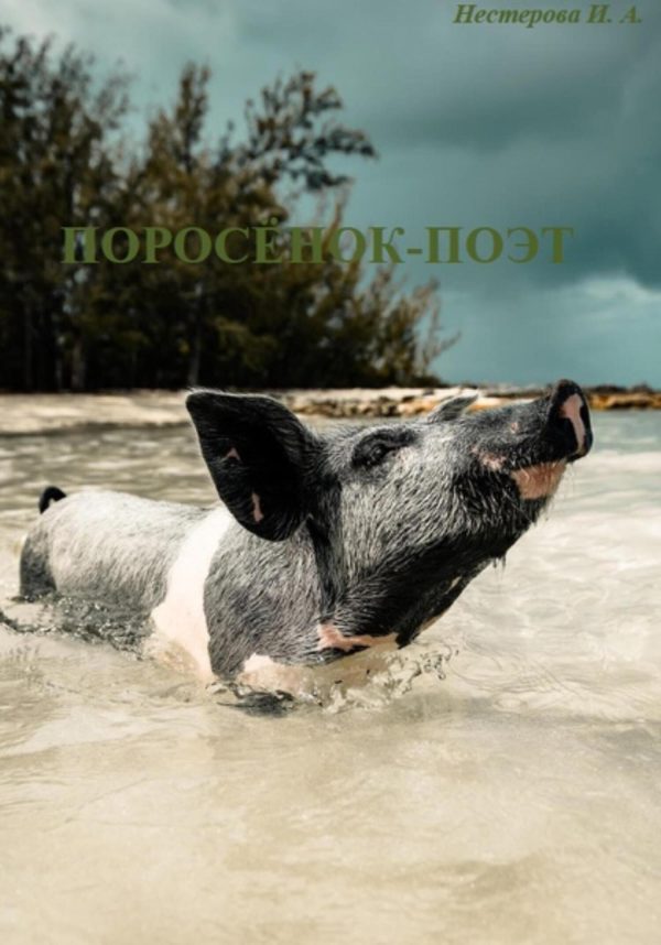 Обложка книги «Поросёнок-поэт»