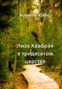 Обложка книги «Лиза Храбрая в тридесятом царстве»