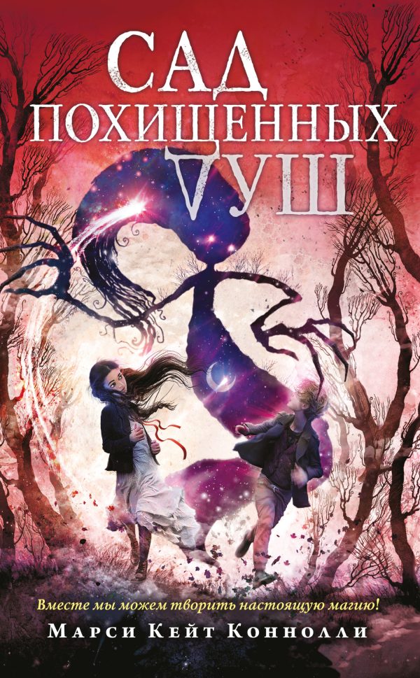 Обложка книги «Сад похищенных душ»