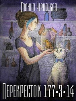 Обложка книги «Перекресток 177-3-14»