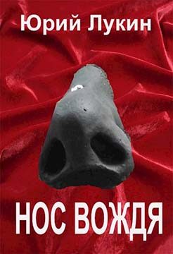 Обложка книги «Нос вождя»