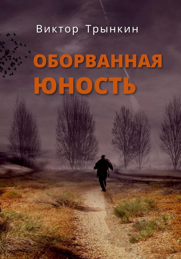 Обложка книги «Оборванная юность»
