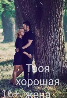 Обложка книги «Твоя хорошая жена (СИ)»