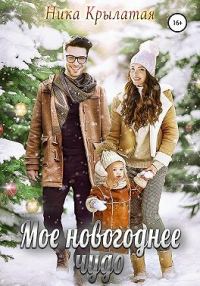 Обложка книги «Мое новогоднее чудо»