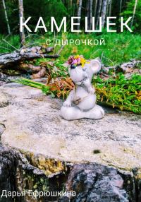 Обложка книги «Камешек с дырочкой»