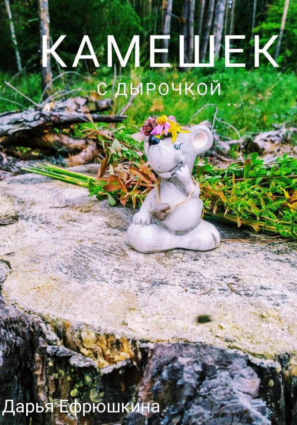 Обложка книги «Камешек с дырочкой»