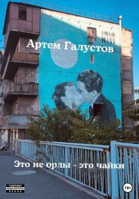Обложка книги «Это не орлы – это чайки»