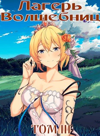 Обложка книги «Лагерь волшебниц №208. Том III»