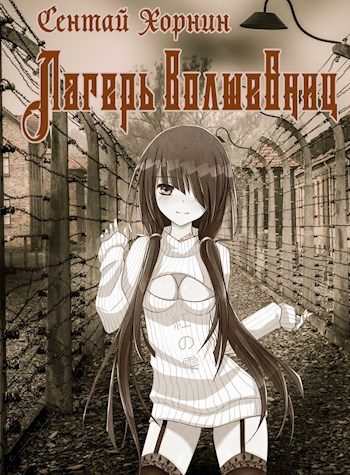 Обложка книги «Лагерь волшебниц №208»