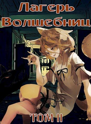 Обложка книги «Лагерь волшебниц №208. Том II»