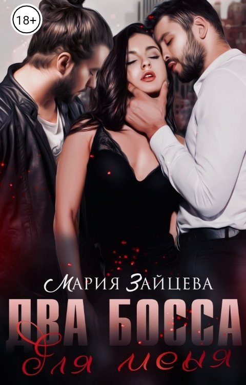 Обложка книги «Два босса для меня»