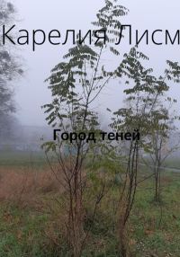 Обложка книги «Город теней»