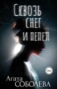 Обложка книги «Сквозь снег и пепел»