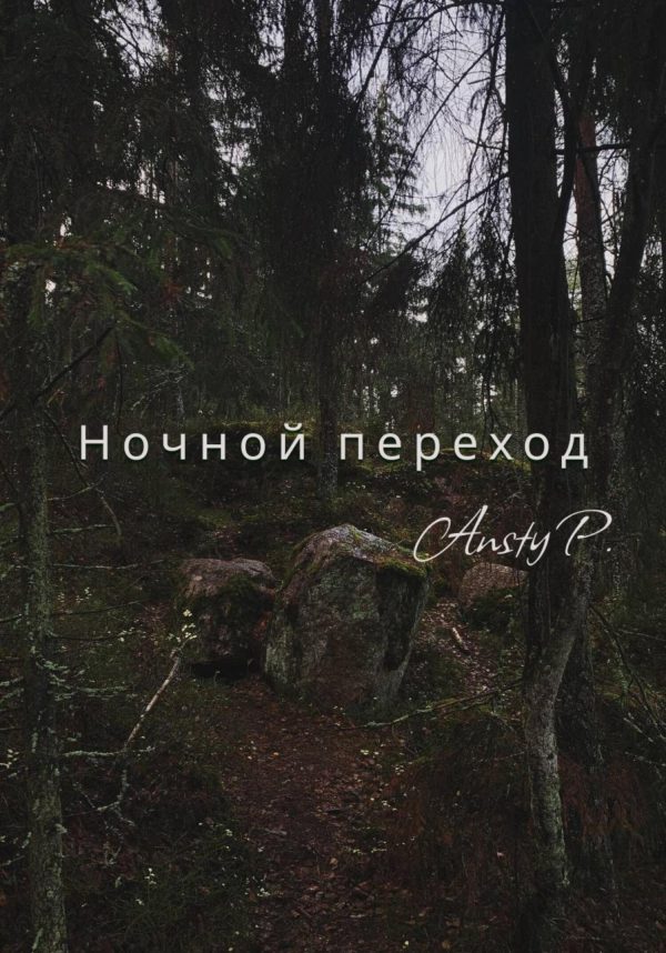 Обложка книги «Ночной переход»
