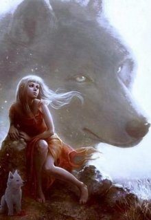 Обложка книги «Душа Орка»