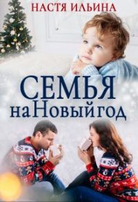 Обложка книги «Семья на Новый год»